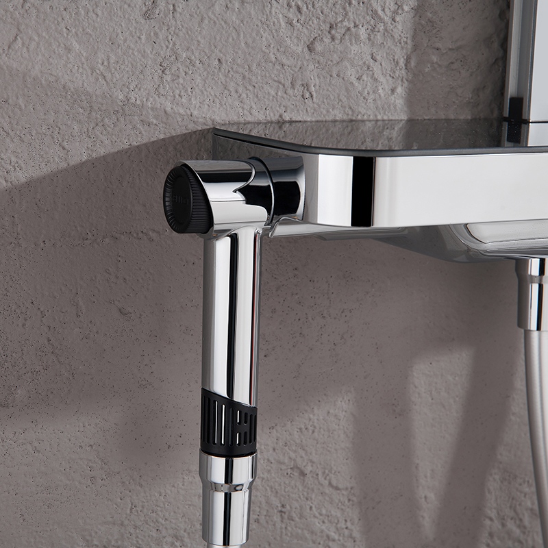 D00321 2-Jets Shower Spray Gun