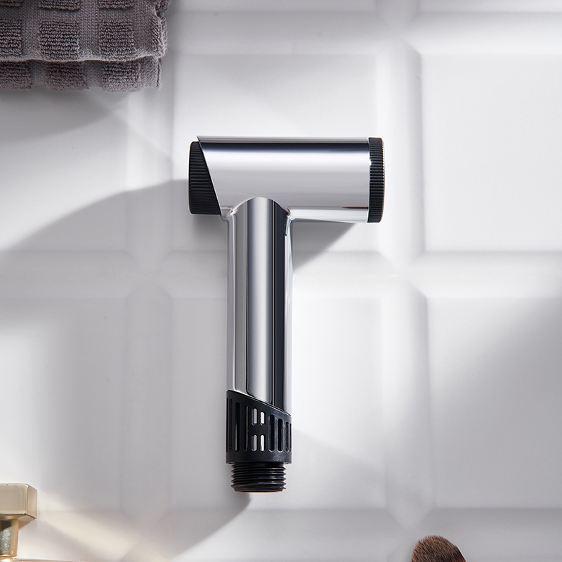 D00321 2-Jets Shower Spray Gun