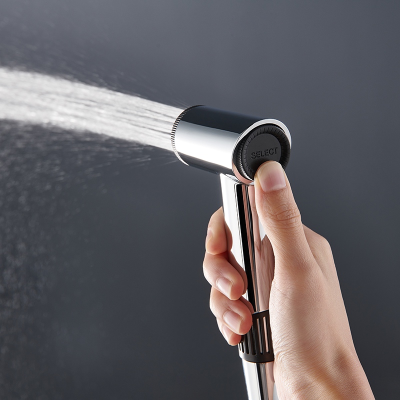D00321 2-Jets Shower Spray Gun
