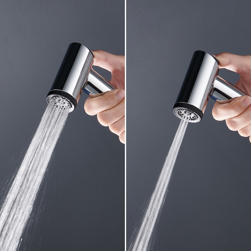 D00321 2-Jets Shower Spray Gun