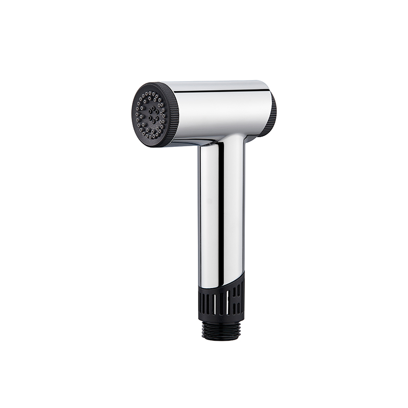 D00321 2-Jets Shower Spray Gun