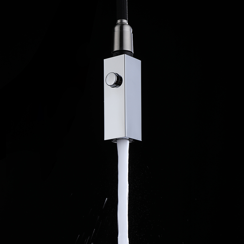 C03901 Automatic reset pull-Down shower