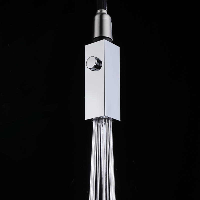 C03901 Automatic reset pull-Down shower